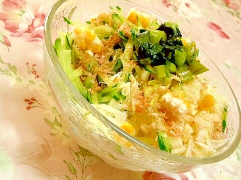 ❤胡瓜とキャベツと高菜と鰹節のお素麺❤